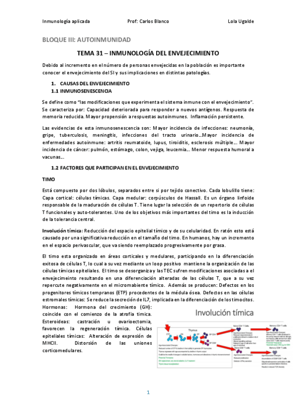 Miniatura del documento IA31.pdf