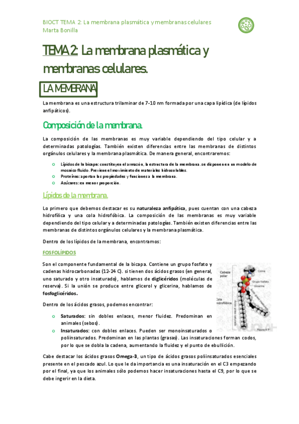 Miniatura del documento resumen-tema-2-BIOCT.pdf