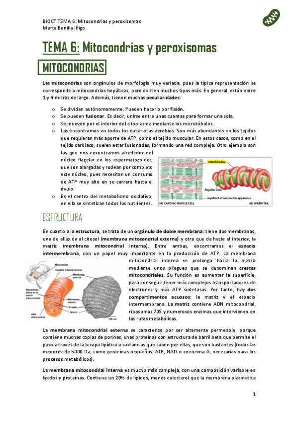 Miniatura del documento RESUMEN-TEMA-6-bioct.pdf