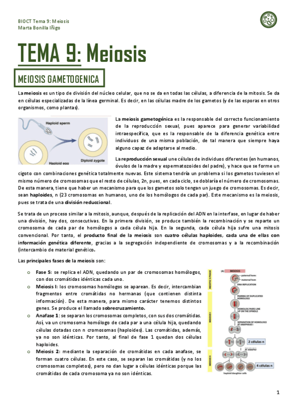 Miniatura del documento Resumen-tema-9-BIOCT.pdf