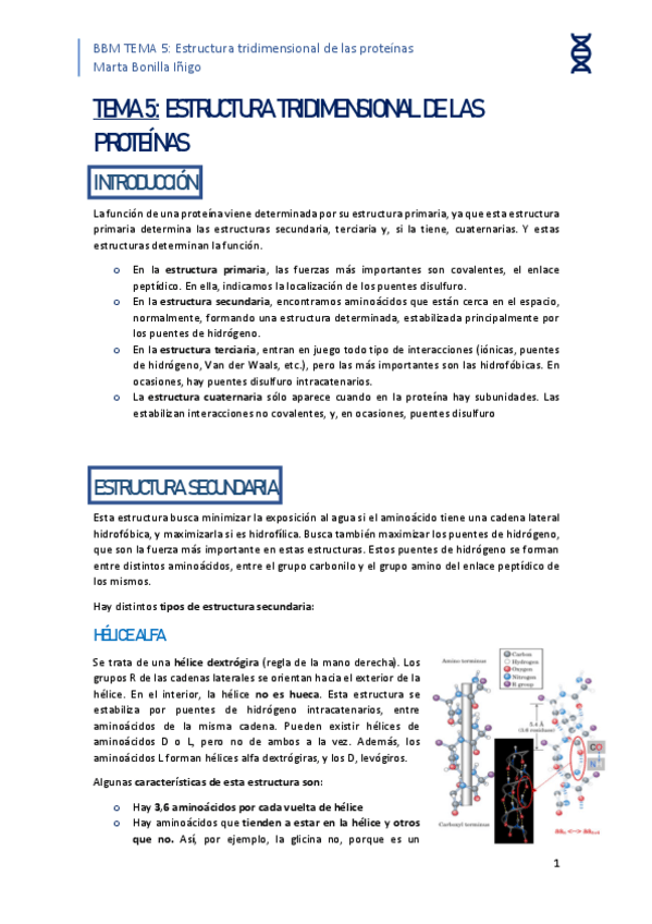 Miniatura del documento resumen-tema-5-BBM.pdf
