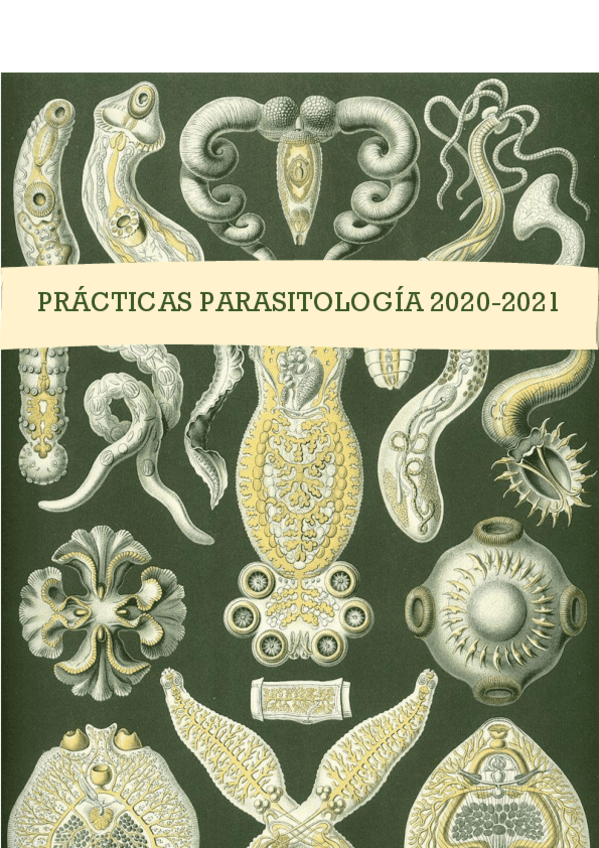 Miniatura del documento PRACTICAS-PARASITOLOGIA-CURSO-2020-d.pdf