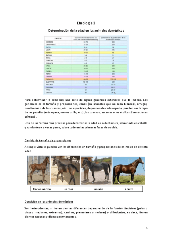 Miniatura del documento Etnologia-3.pdf