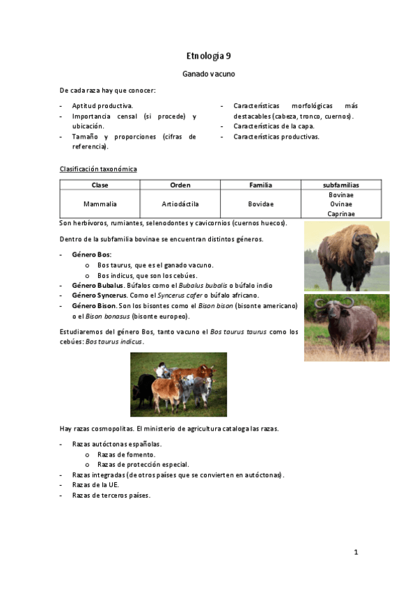 Miniatura del documento Etnologia-9.pdf