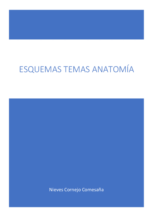 Miniatura del documento ESQUEMAS-ANATOMIA-TABLA-MUSCULOS-TRONCO-Y-CUELLO.pdf