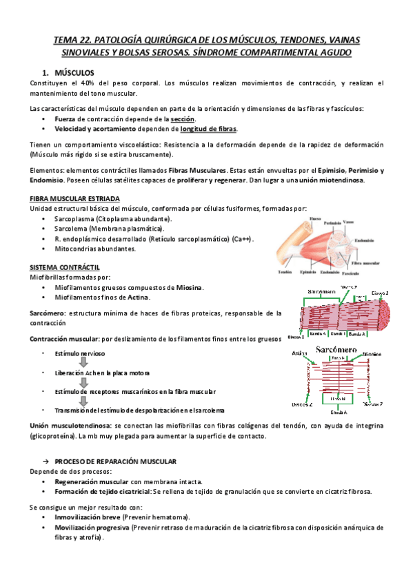 Miniatura del documento T22.pdf