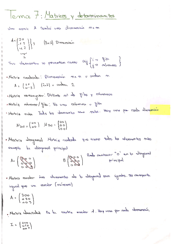 Miniatura del documento matrices-y-determinantes.pdf