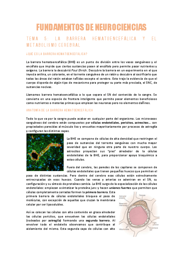 Miniatura del documento NEUROCIENCIAST5Barrera-Hematoencefalica.pdf