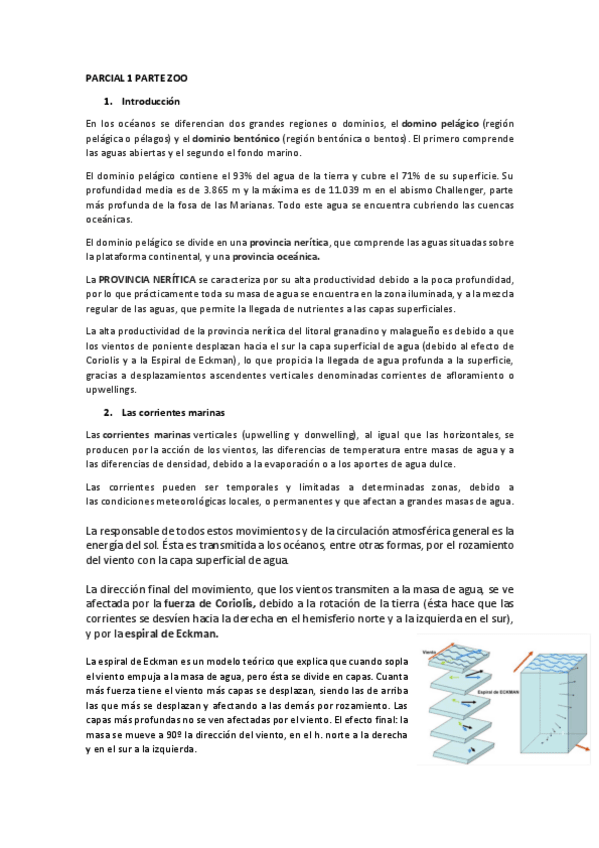 Miniatura del documento Parcial-1-zoo.pdf