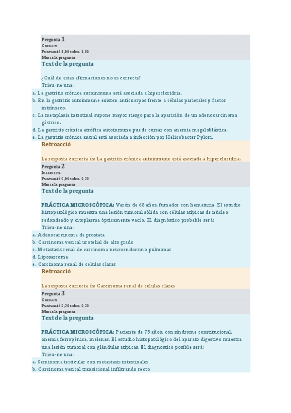 Miniatura del documento TEST-APE-2020.pdf
