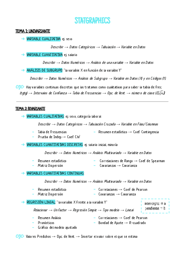 Miniatura del documento STATGRAPHICS.pdf