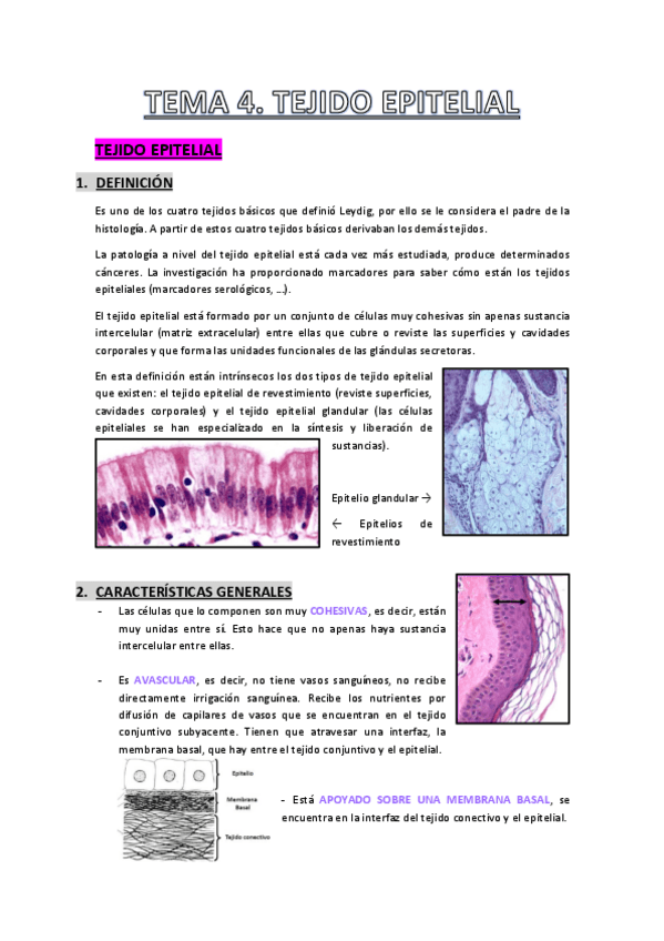 Miniatura del documento Tema-4.pdf