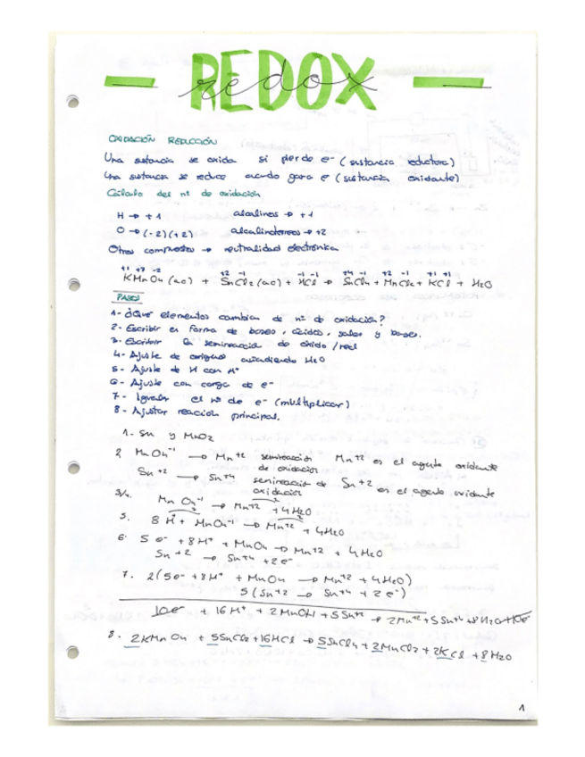 Miniatura del documento REDOX.pdf