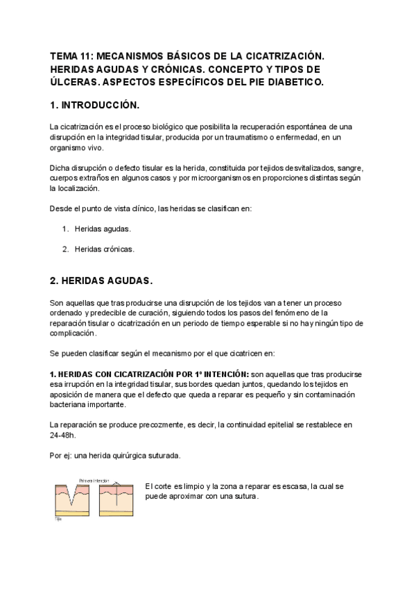 Miniatura del documento TEMA-11-MECANISMOS-BASICOS-DE-LA-CICATRIZACION.pdf