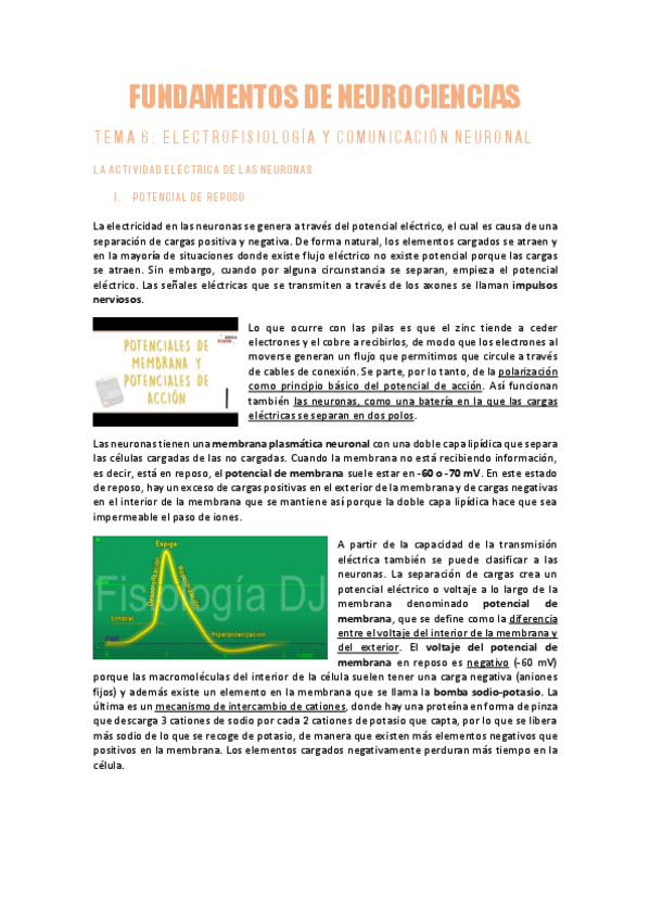 Miniatura del documento NEUROCIENCIAST6Act-Electrica-de-las-Neuronas.pdf