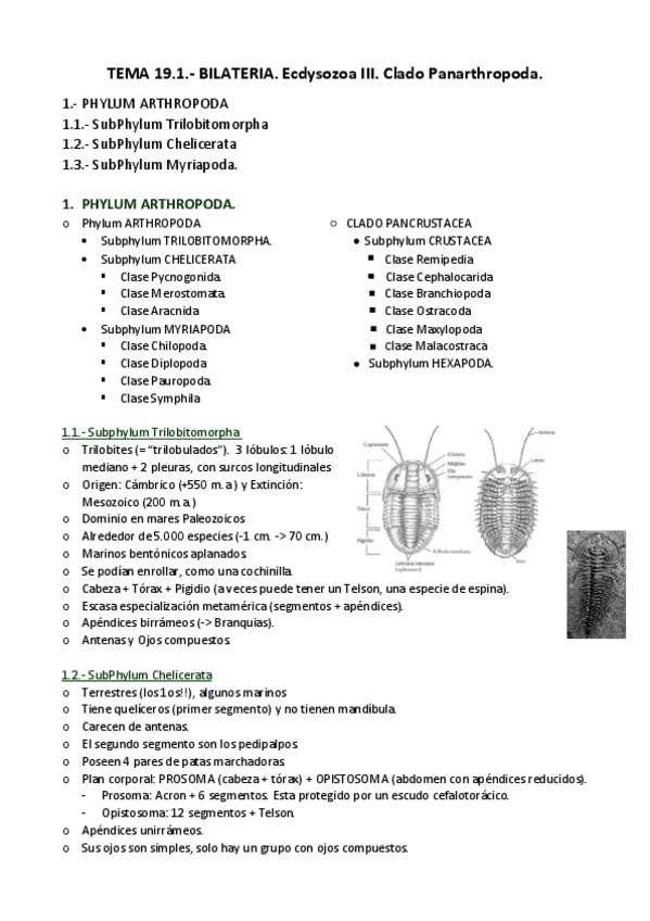 Miniatura del documento APUNTES-T.pdf