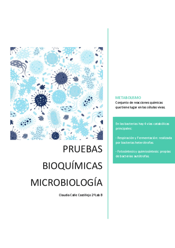 Miniatura del documento Pruebas-de-identificacion.pdf