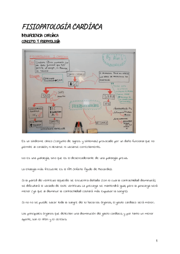 Miniatura del documento Fisiopatologia-cardiaca.pdf