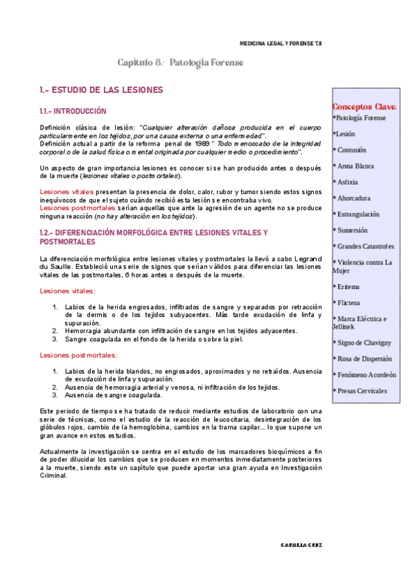 Miniatura del documento T.pdf
