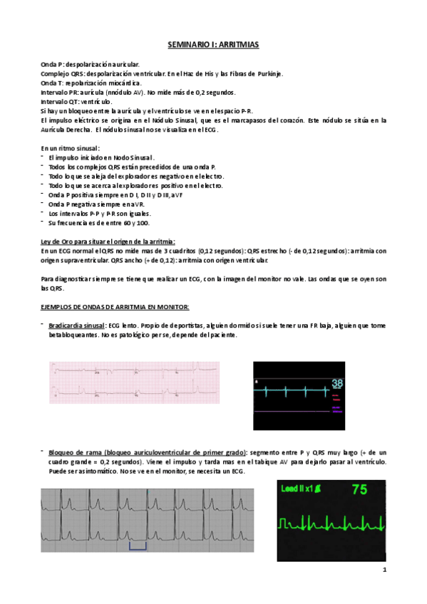 Miniatura del documento Seminario-1-SV.pdf