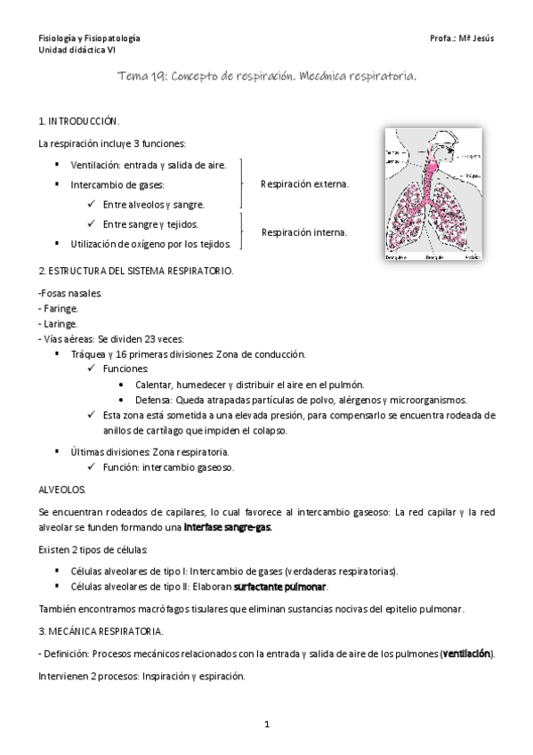 Miniatura del documento Tema-19.pdf