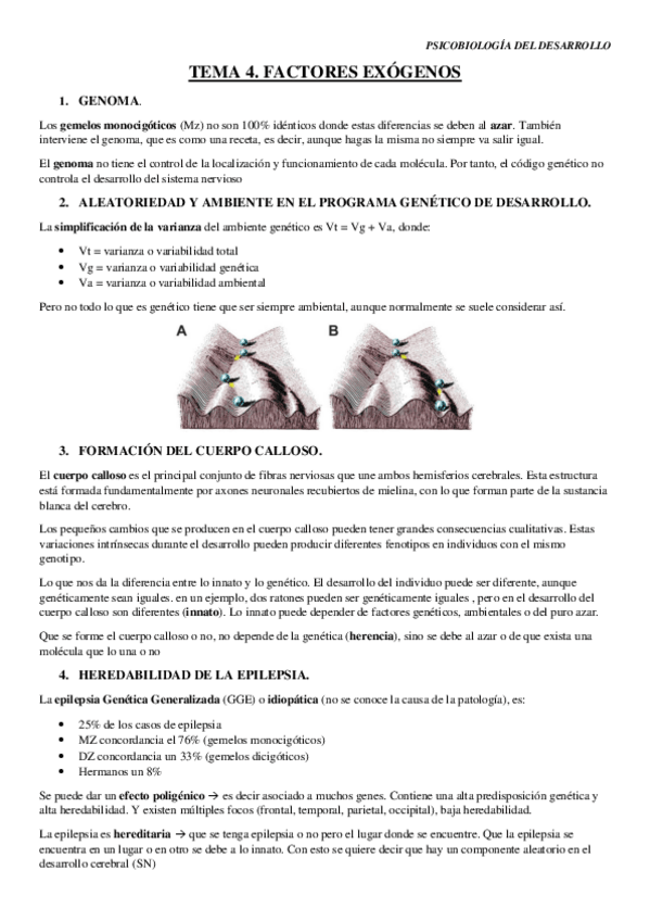 Miniatura del documento TEMA-4.pdf