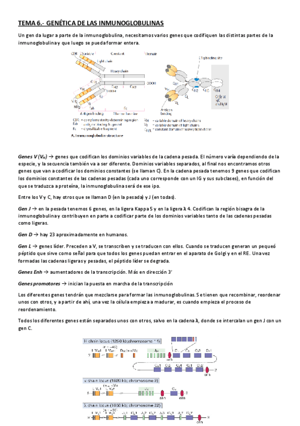 Miniatura del documento TEMA-6.pdf