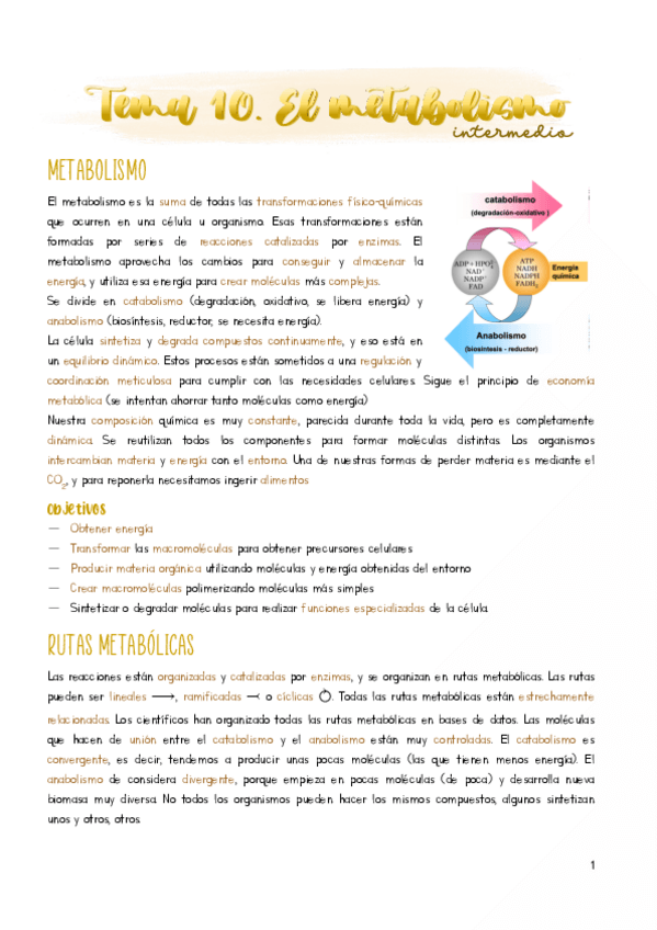 Miniatura del documento Tema-10.pdf