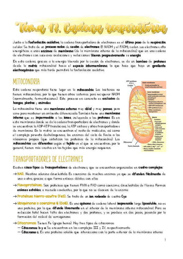 Miniatura del documento Tema-17.pdf