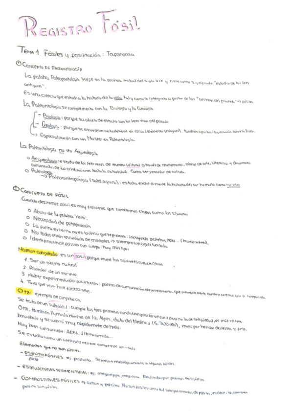 Miniatura del documento REGISTRO-FOSIL-19-20.pdf