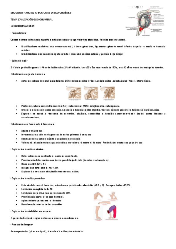 Miniatura del documento SEGUNDO-PARCIAL-AFECCIONES-DIEGO-GIMANEZ.pdf