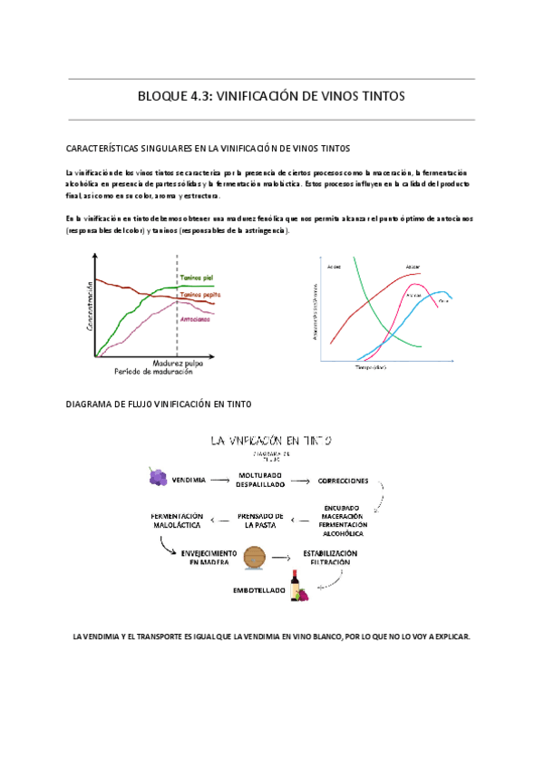 Miniatura del documento BLOQUE-4-VINIFICACION-EN-TINTO.pdf