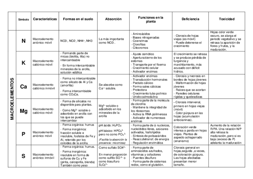 Miniatura del documento Tabla-Nutrientes-Resuelta.pdf