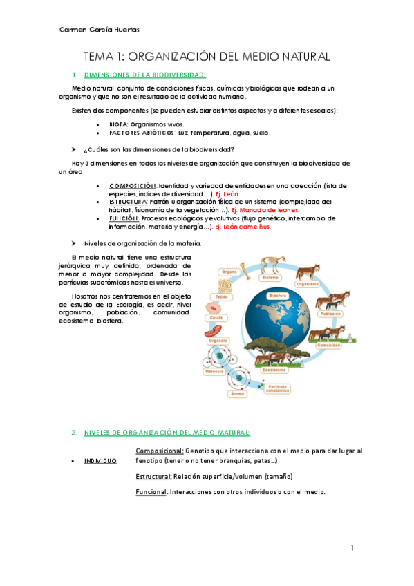 Miniatura del documento TEMA-1.pdf