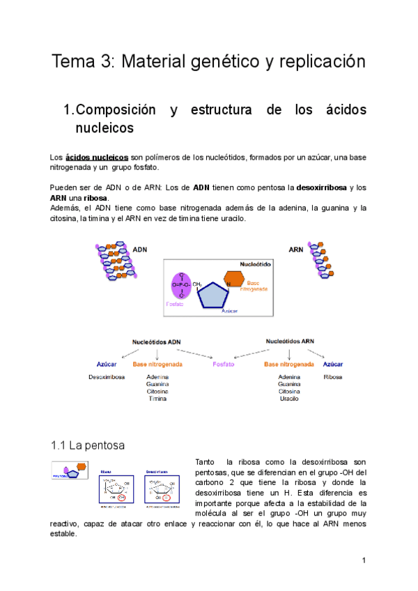 Miniatura del documento Tema-3-Material-genetico-y-replicacion.pdf