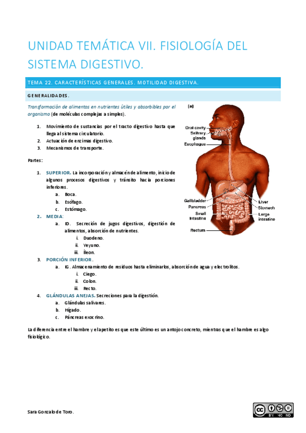 Miniatura del documento Unidad-tematica-VII.pdf