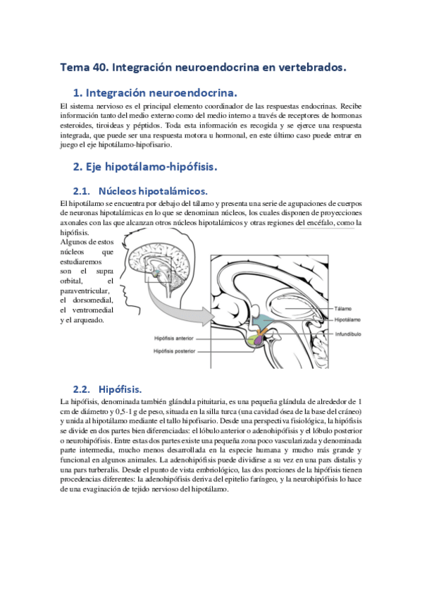 Miniatura del documento Tema-40.pdf