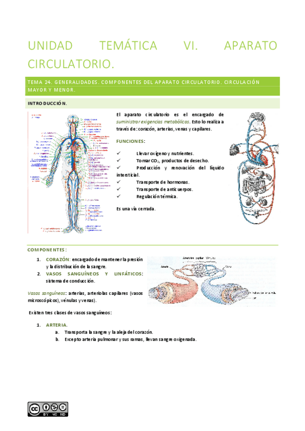Miniatura del documento Unidad-tematica-VI.pdf