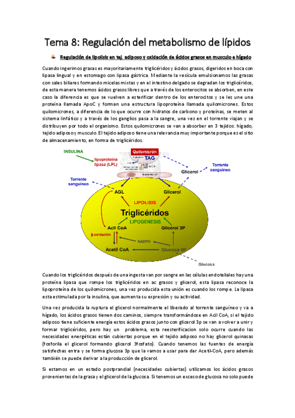 Miniatura del documento Tema 8