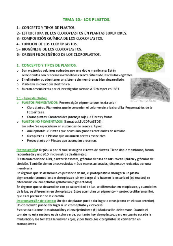 Miniatura del documento APUNTES-T.pdf