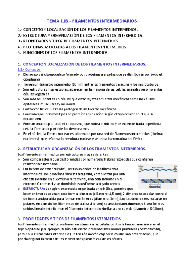 Miniatura del documento APUNTES-T.pdf