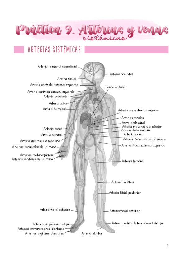 Miniatura del documento Practica-9.pdf