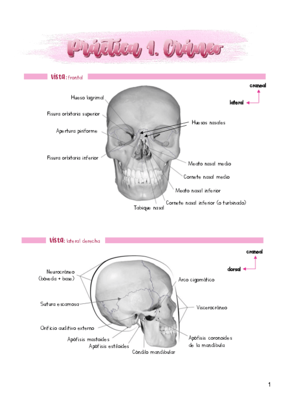 Miniatura del documento Practica-1.pdf