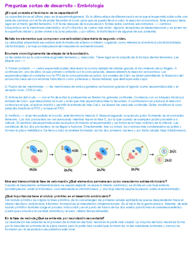Miniatura del documento Preguntas-cortas-Embrio.pdf