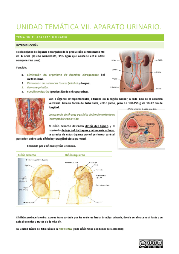 Miniatura del documento UNIDAD-TEMATICA-VII-VIII.pdf