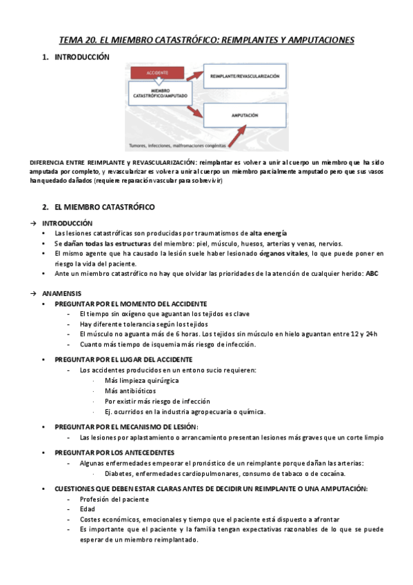 Miniatura del documento T20.pdf