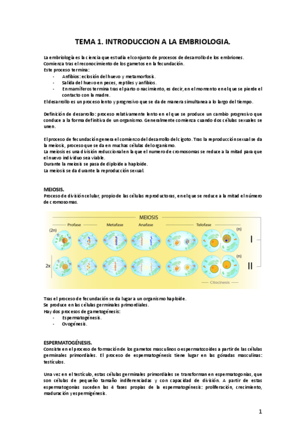 Miniatura del documento DESARROLLO-COMPLETO.pdf