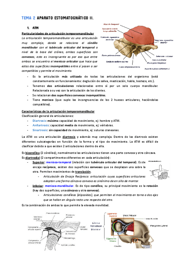 Miniatura del documento TEMA-2-1.pdf
