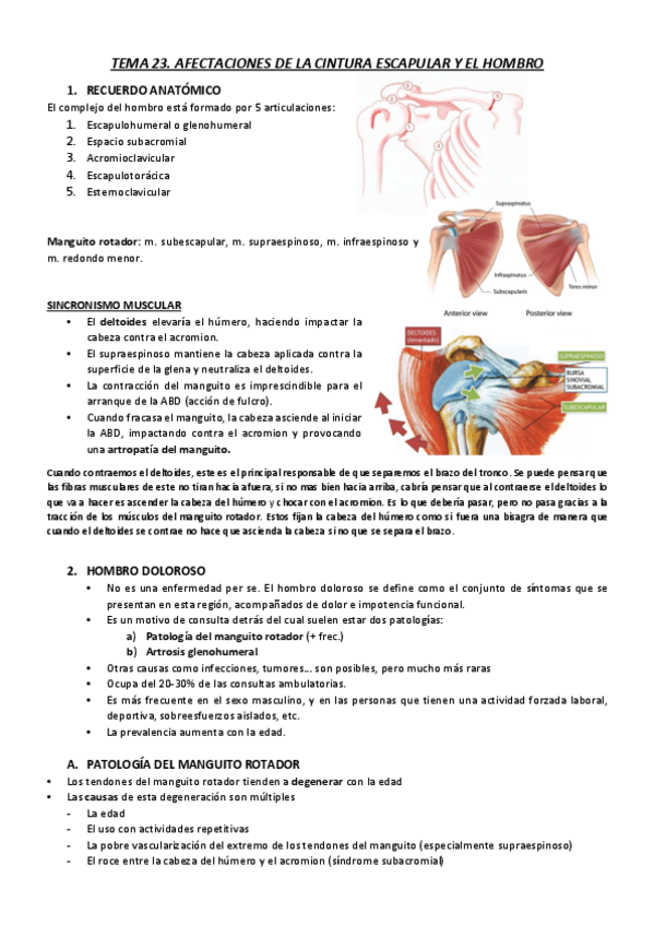 Miniatura del documento T23.pdf