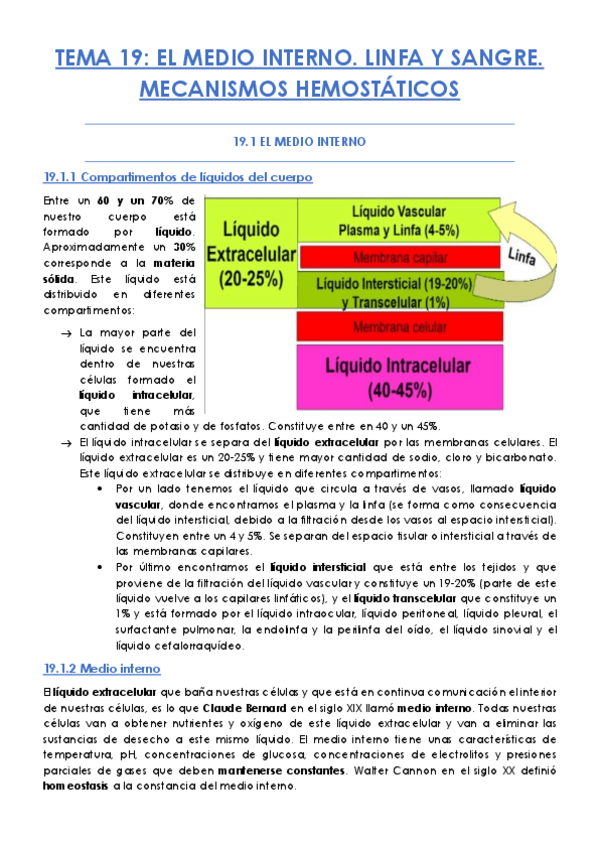 Miniatura del documento TEMA-19.pdf